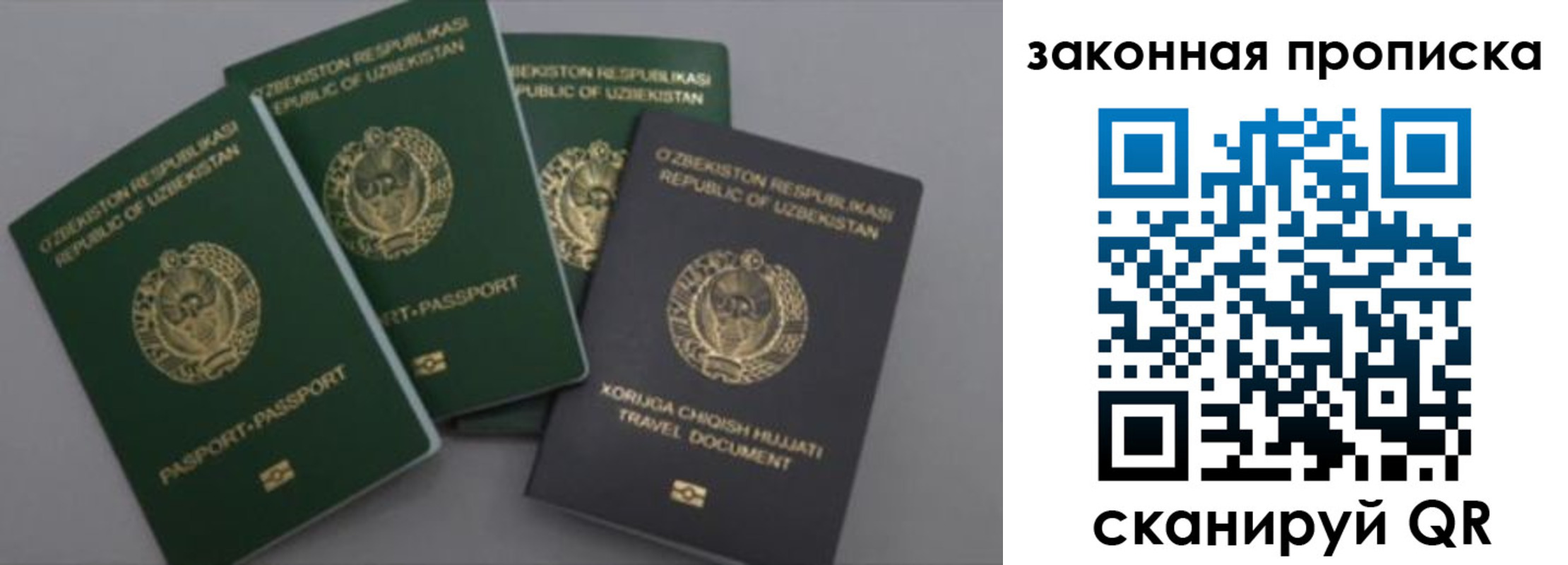 прописка законно в Стародубе
